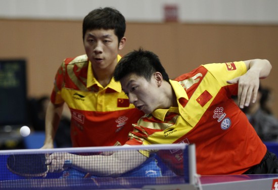 不仅展示了 不仅展示了