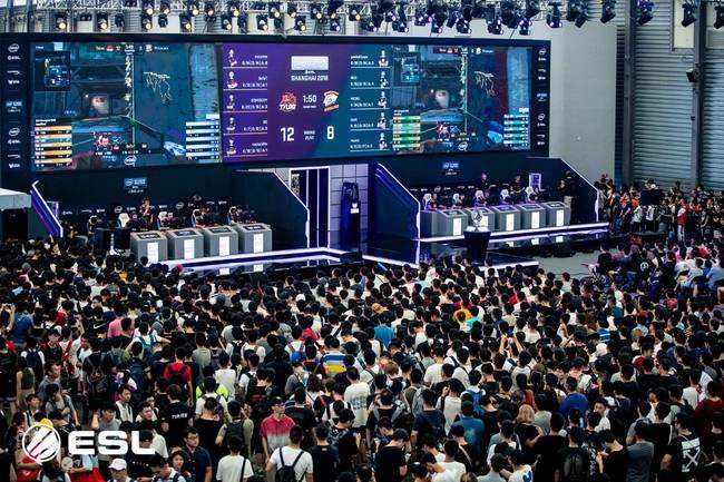 充当组织者 充当组织者